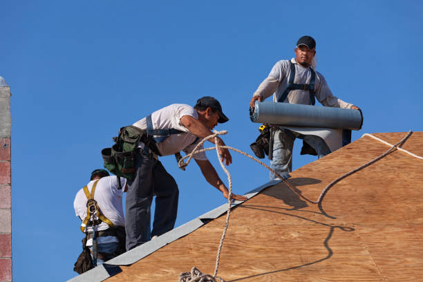 Roof Gutter Cleaning in Yankton, SD
